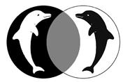 Logo von der Heilpraktikerpraxis für Paartherapie und Psychotherapie
